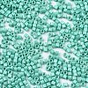 11/0 Grade A Baking Paint Glass Seed Beads X-SEED-S030-1038-2