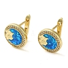 Flat Round with Bear Rack Plating Brass Micro Pave Cubic Zirconia Hoop Earrings EJEW-P277-02G-1