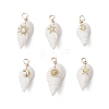 6Pcs 6 Styles Natural Shell Pendants PALLOY-JF03882-1