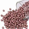 TOHO Round Seed Beads X-SEED-TR08-0553F-1