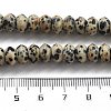 Natural Dalmatian Jasper Beads Strands G-P559-A01-01-5