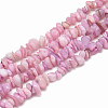 Freshwater Shell Beads Strands SHEL-S270-19-1