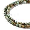 Natural HuBei Turquoise Beads Strands G-M411-A01-01-3