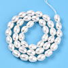 Natural Cultured Freshwater Pearl Beads Strands PEAR-N012-AA-01-3