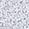 6/0 Glass Seed Beads SEED-N008-07N-3