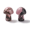 Natural Rhodonite GuaSha Stone G-A205-26M-1