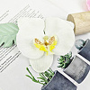 Cloth Imitation Phalaenopsis Amabilis DIY-WH20002-197-5