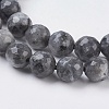 Natural Larvikite Beads Strands G-G542-6mm-27-3