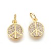 Brass Micro Pave Cubic Zirconia Charms ZIRC-J021-02G-RS-1