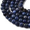 Natural Sodalite Beads Strands G-P582-6mm-02-4