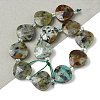 Natural African Turquoise(Jasper) Beads Strands G-D316-A03-1