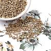 12/0 Electroplate Glass Seed Beads SEED-Q003-01-2