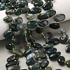 Natural Moss Agate Beads Strands G-P604-A11-01-1
