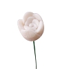 Polymer Clay Rose Miniature Ornaments PW-WG45067-05-1