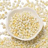 Baking Paint Glass Seed Beads SEED-F006-01A-01-2