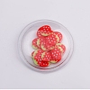 PVC Plastic with Resin Cabochons KY-CJC0004-04B-1