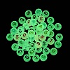 Luminous Transparent Acrylic Beads TACR-Q013-06B-5