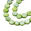 Freshwater Shell Beads Strands X-SHEL-T009-B16-04-3