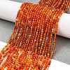 Natural Red Agate Beads Strands G-M438-A10-02-2