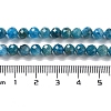 Natural Apatite Beads Strands G-J400-E01-05-4