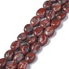 Natural Red Sesame Jasper/Kiwi Jasper Beads Strands G-Z006-A24-1