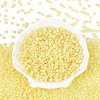 6/0 Glass Seed Beads SEED-N008-07F-2