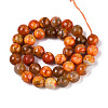Dyed & Heated Natural Fire Crackle Agate Beads Strands G-N359-01B-09-3
