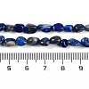 Natural Lapis Lazuli Beads Strands G-P497-01B-14-5