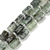 Natural Prehnite Beads Strands G-G162-D09-01-1