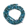 Natural Apatite Beads Strands X-G-F770-D09-02B-3