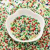 Baking Paint Glass Seed Beads SEED-S042-05B-51-2