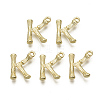 Alloy Pendants PALLOY-S137-001K-NR-2