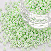 8/0 Opaque Glass Seed Beads X1-SEED-S048-N-009-1