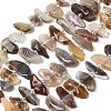 Natural Botswana Agate Beads Strands G-L649-A06-01-2