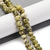 Natural Yellow Turquoise(Jasper) Beads Strands G-K380-A47-04-2