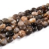 Natural Black Sunstone Beads Strands G-G018-03A-1