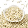 6/0 Glass Seed Beads SEED-L011-08A-16-2