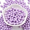 Baking Paint Glass Seed Beads SEED-H003-02B-2