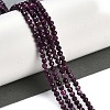 Natural Ruby Beads Strands G-P553-G01-02-2