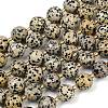Natural Dalmatian Jasper Beads Strands G-C249-A02-16mm-3