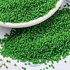 MIYUKI Round Rocailles Beads SEED-X0056-RR0411-1