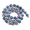 Natural Blue Spot Jasper Beads Strands G-G182-B31-03-3