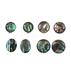 Flat Round Oval Natural Paua Shell Stud Earring for Women EJEW-JE07125-3