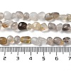 Natural Agate Beads Strands G-D081-A04-5