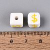 Handmade Porcelain Beads PORC-N012-13F-3
