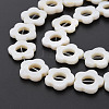 Freshwater Shell Beads Frames Strands SHEL-T009-14A-4