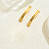 Stainless Steel Stick Dangle Earrings PF3575-2-1