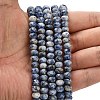 Natural Blue Spot Jasper Beads Strands G-Z111-A32-2
