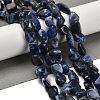 Natural Sodalite Beads Strands G-P497-01E-55-2