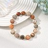 Natural Fossil Coral Faceted Flat Round Beaded Stretch Bracelets with Brass Round Beads for Women BJEW-JB14168-1